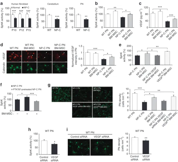 Figure 1 | BM-MSC-derived VEGF restores SphK activity in NP–C mice PNs. (a) SphK activities between NP–C and control were analysed in human ﬁbroblast (n ¼ 7 per group), mouse cerebellum tissue (n ¼ 7 per group) and primary mouse PN samples (n ¼ 9 per group