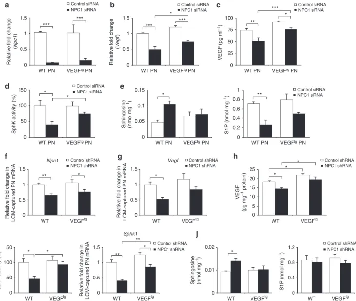 Figure 3 | NPC1 knockdown reduces VEGF expression and SphK activity. (a–c) Primary cultures of normal and VEGF tg PNs were transfected with control or NPC1 siRNA