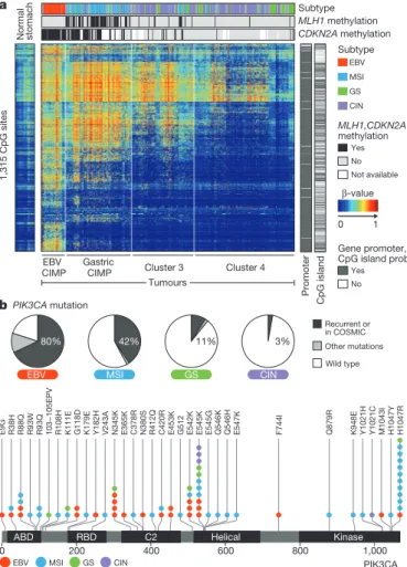Figure 3 | Significantly mutated genes in non-hypermutated gastric cancer. a, Bars represent somatic mutation rate for the 215 samples with synonymous and non-synonymous mutation rates distinguished by colour.