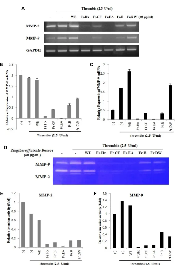 Fig.  5.  Effect  of  solvent  fractions  obtained  from  a  Zingiber  officinale  R  extracts  on  the  activities  of  MMP-2/9  in  thrombin-treated  YD-10B  cells