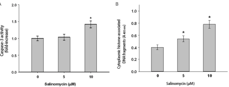 Fig. 4. Induction of apoptosis after salinomycin treatment in uterine leiomyoma cells