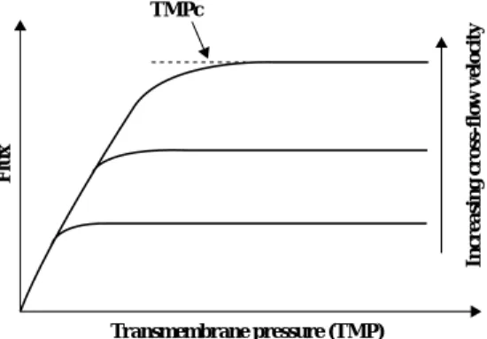 그림 3. Theoretical flux evolution as a function of the transmembrane pressure.