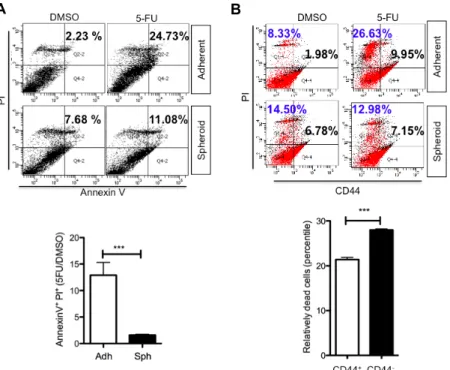 Fig.  5.  Evaluation  of  chemosensitivity  and  its  relevance  with  cancer  stemness  of  the  spheroid-forming  and  adherent  cancer  cells  in  response  to  5-Fluorouracil  (5-FU)