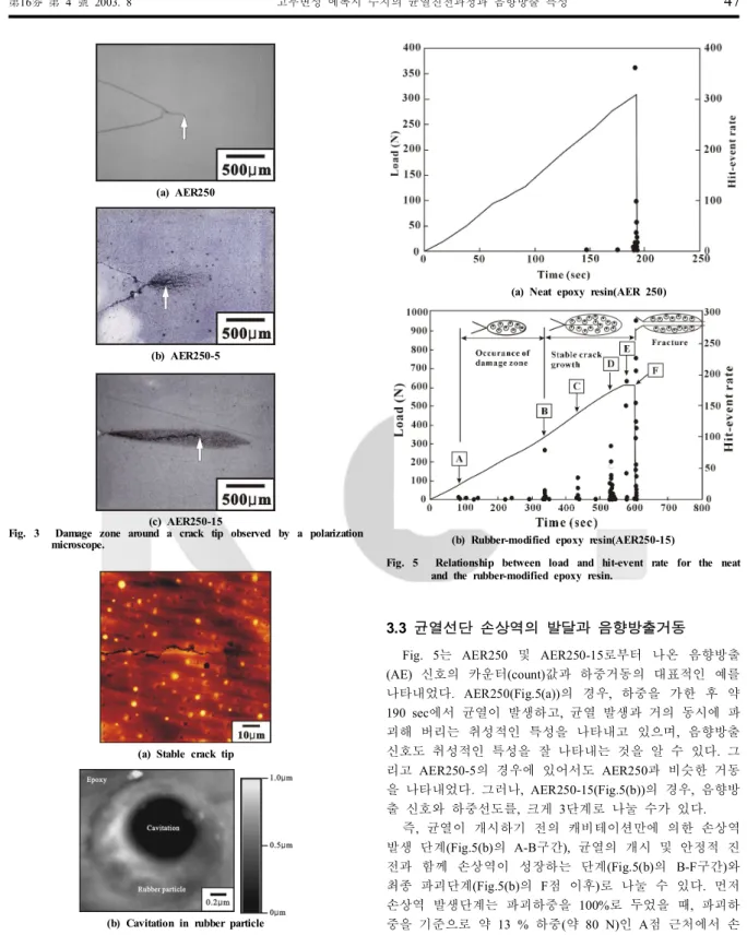 Fig.  3    Damage  zone  around  a  crack  tip  observed  by  a  polarization  microscope.