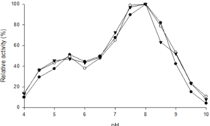 Fig.  3.  Effect  of  pH  on  purified  LDH  A 4   isozyme  in  bluegill  (L.  macrochirus)