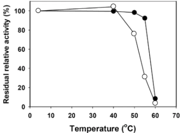 Fig.  4.  Thermostability  of  the  Man6  and  Man11  in  cell-free  ex- ex-tract  of  recombinant  E