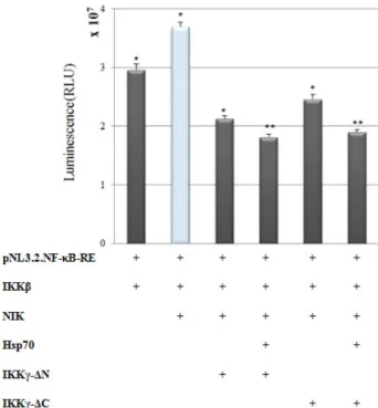 Fig.  4.  The  structure  of  wild-type  and  N-  terminal,  C-  terminal  deletion  mutants  of  IKKγ