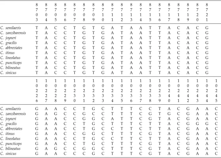Table  2.  Alignment  of  primer  regions  with  complete  mitochondrial  sequences  of  reference  species 　 87 0 3 8704 8705 8706 8707 8708 8709 8710 8711 8712 8713 8714 8715 8716 8717 8718 8719 8720 8721 C