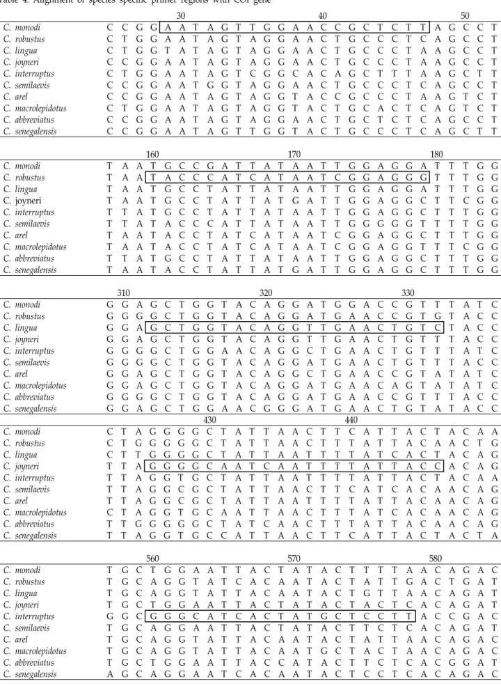 Table  4.  Alignment  of  species  specific  primer  regions  with  COI  gene 　 　 　 　 　 30 40 　 50 　 C