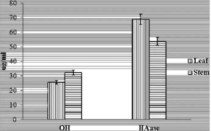 Fig.  2.  Inhibitory  effects  {IC 50   (mg/ml)}  on  OH,  DPPH,  and  lip- lip-oxygenase  by  Hydrocotyle  sibthorpioides  on  1.0  M.