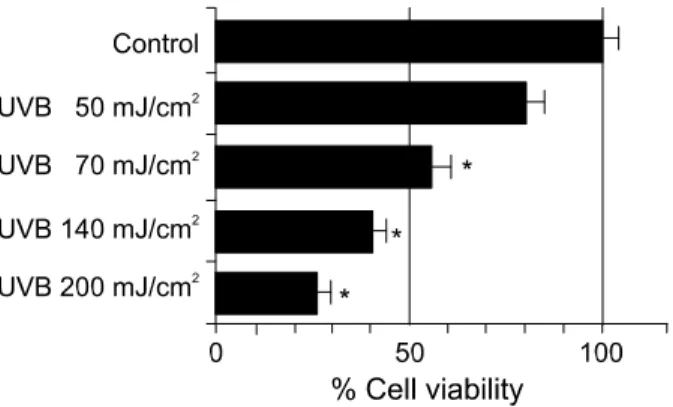 Figure 3. Detection of apoptotic cells by propidium iodide among  adherent dermal fibroblasts treated with UVB and/or melatonin