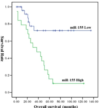Fig.  2.  Survival  analysis  using  the  Kaplan-Meier  method:  overall  survival  (OS)  according  to  the  expression  levels  of  miR-  155  in  patients  with  lung  cancer