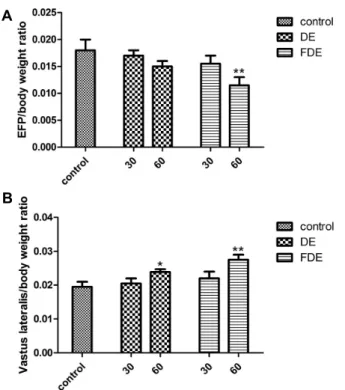 Fig.  6.  The  change  of  total  sperm  (A)  and  motile  sperm  (B)  counts  after  4-week  dandelion  extract  administration
