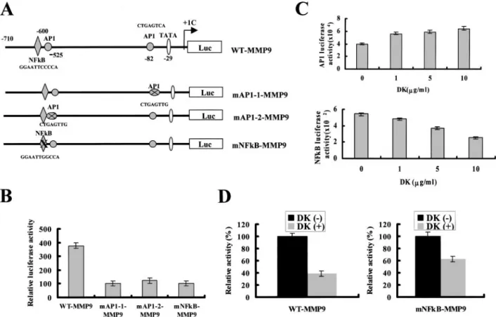 Fig. 3. Effects of dykellic acid on the activities of AP-1 and NF ␬B. A, schematic structure of MMP-9 promoter constructs used for testing luciferase activity