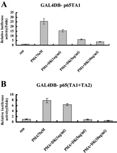 Fig. 5. Effect of ␣-lipoic acid and PDTC on MMP-9 activity. Caski cells were treated with various concentrations of ␣-lipoic acid in the presence or absence of PMA (75 n M ).