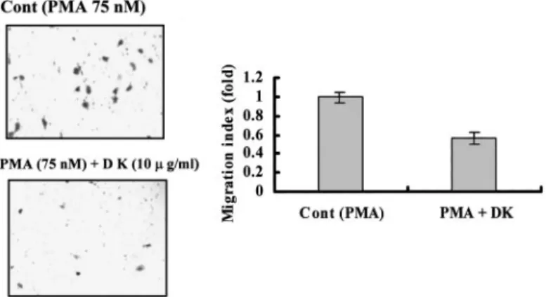 Fig. 6. Effect of dykellic acid on Matrigel invasion by Caski cells. For invasion assay, the lower and upper parts of Transwells were coated with Matrigel