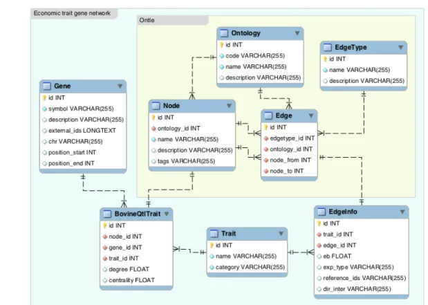 Fig.  1.  Generation  of  tables  from  entities  for  gene  network  analysis  system