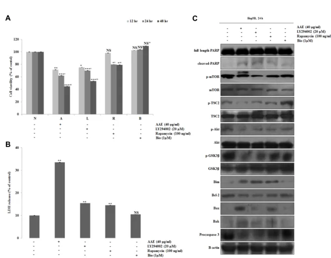 Fig.  4.  Cells  treated  LY294002,  Rapamycin,  Bio  and  AAE  in  Hep3B  cells.  Cells  were  treated  with  20  μM  LY294002,  100  ng/ml  Rapamycin,  1  μM  Bio  and  40  or  60  μg/ml  AAE  for  12  hr,  24  hr  and  48  hr