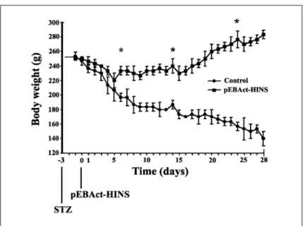 Fig. 3. Effect of pEBAct-HINS transfection on body weight in STZ-induced diabetic rat