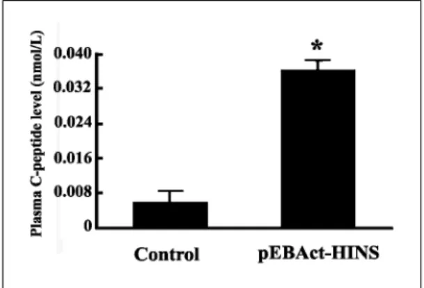 Fig. 6. Expression of pEBAct-HINS in rat liver tissues. Immunohistochemical staining of insulin in control and pEBAct-HINS transfected rat liver at 28 days after HVJ-liposome transfection.