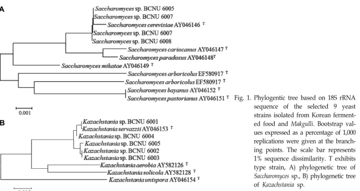 Fig.  1.  Phylogentic  tree  based  on  18S  rRNA  sequence  of  the  selected  9  yeast  strains  isolated  from  Korean   ferment-ed  food  and  Makgulli