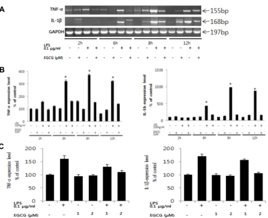 Fig.  2.  Effects  of  EGCG  on  LPS-induced  proinflammatory  cytokines  mRNA  expression  in  BV-2  cells
