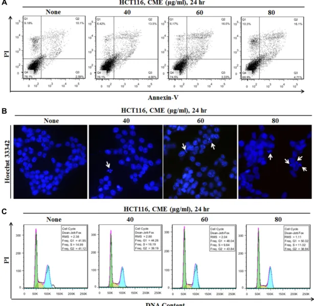 Fig.  2.  Apoptotic  and  Cell  Cycle  Arrest  Effects  of  CME  in  HCT116  Colon  Cancer  Cells