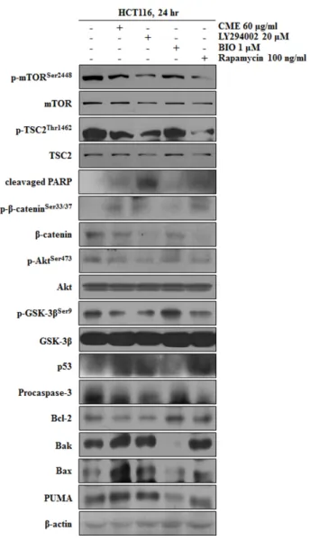 Fig.  5.  CME  regulate  Apoptosis-mediated  Protein  via  Regulating  AKT/mTOR/GSK-3β  Signaling  Pathways