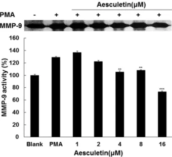 Fig.  3.  Effect  of  aesculetin  on  viability  of  HT1080  cells.  HT1080  cells  were  treated  with  aesculetin  at  1,  2,  4,  8,  and  16  μM