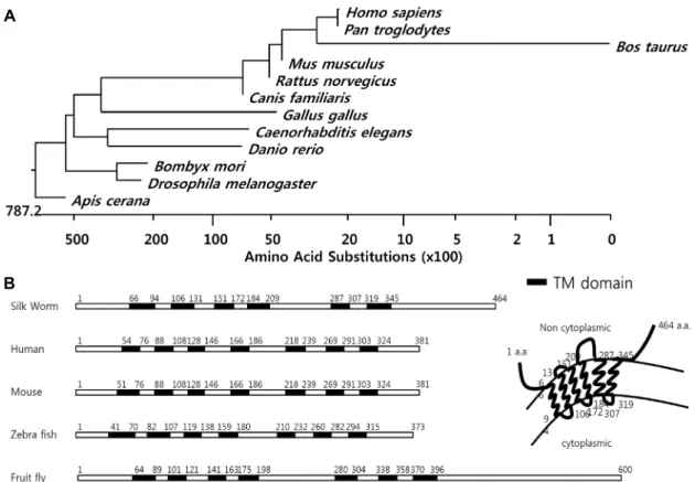 Fig.  2.  Phylogenic  tree  of  BsNPF-R  and  its  schematic  structure  on  the  cytoplasm  from  the  different  species