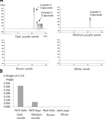 Fig.  1.  Chemical  structures  of  most  common  anthocyanin  in  the  pericarp  of  black  rice  [19,  42]