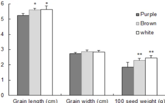 Fig.  8.  Comparison  of  seed  length  (mm),  seed  width  (mm)  and  100  seed  weight  (g)  of  the  purple,  brown  and  white   peri-carp  rice  [33].