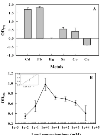 Fig.  4.  Responses  of  biosensor  cells  to  various  heavy  metals  (A)  and  the  β-galactosidase  activities  of  the  biosensor  to   vari-ous  lead  concentrations  (B)