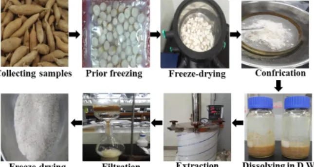 Fig.  1.  Preparation  scheme  of  AEAC.  AEAC  was  obtained  from  the  roots  of  A