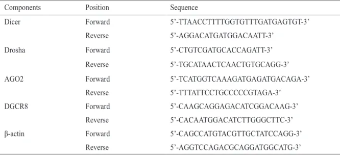Table 1.  Primer sequences of miRNA machinery components used in quantitative PCR