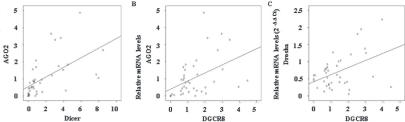 Fig. 2. Correlation between mRNA expressions of inter-individual components in PTC. (A) Dicer and AGO2