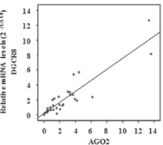 Fig. 3. Correlation between mRNA expressions of  AGO2 and DGCR8 in cervical cancer. * p < 0.001.