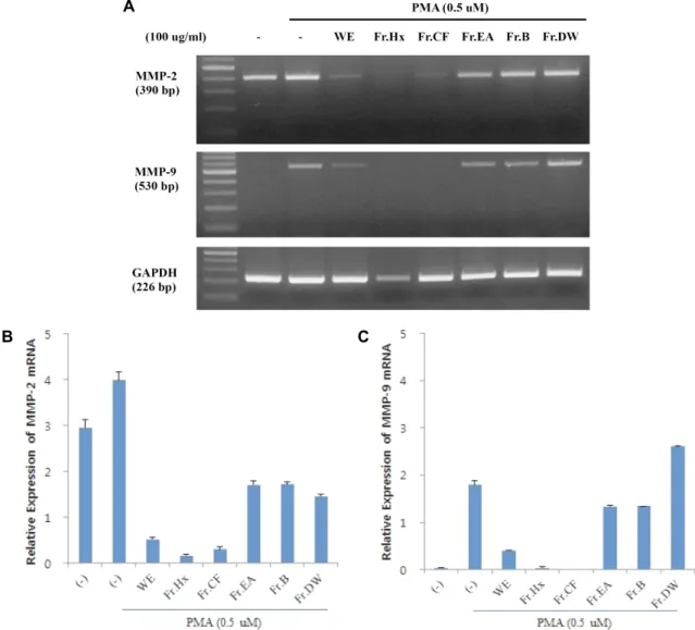 Fig.  4.  Effect  of  solvent  fractions  obtained  from  a  Saururus  chinensis  on  mRNA  expression  of  MMP-2/9  in  PMA-treated  YD-10B  cells