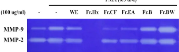 Fig.  5.  Effect  of  solvent  fractions  obtained  from  a  S.  chinensis  on  the  activities  of  MMP-2/9  in  PMA-treated  YD-10B  cells