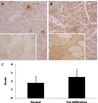 Fig.  4.  Immunohistochemical  analysis  of  CD36  in  skeletal  mus- mus-cles  of  Korean  native  cattle