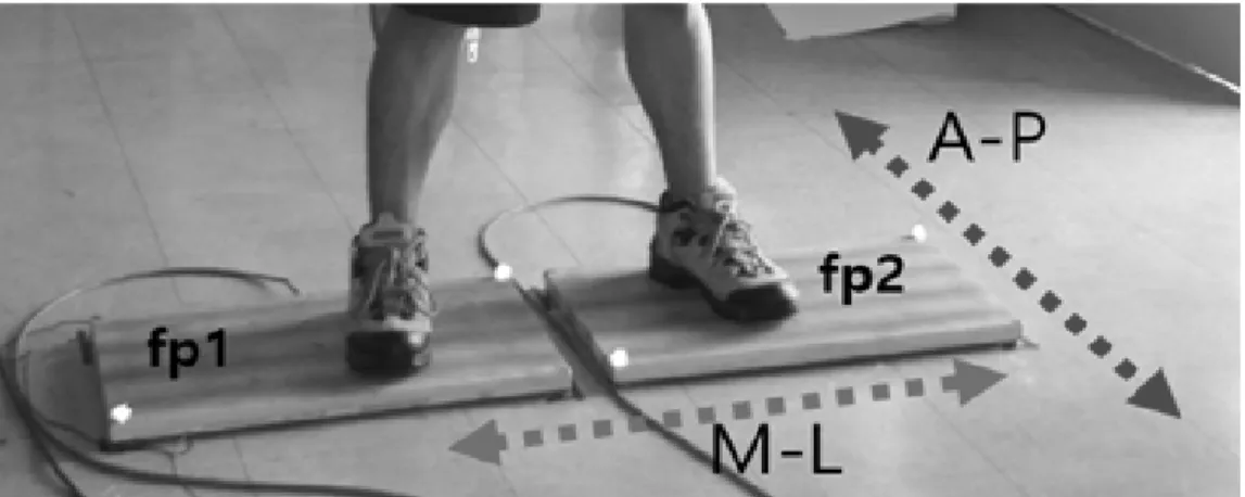 Fig.  3.  Definition  of  anteroposterior  (A-P)  and  mediolateral  (M-L)  COP  direction                 (fp1:  right  force  plate,  fp2:  left  force  plate)