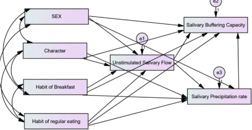 Table  7.  The  regression  weights  and  probability  level  of  significance  of  the  first  path  analysis  model Estimate Standardized Estimate StandardError C.R