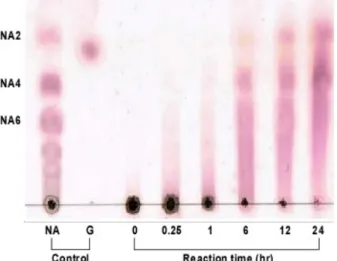Fig.  7.  TLC  analysis  of  the  hydrolyzed  products  of  agarose  by  the  agarase