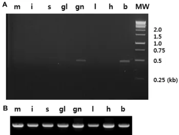 Fig.  3.  Construction  of  the  neighbor-joining  tree  based  on  the  coding  regions  of  the  isotocin  gene  in  teleosts  and  mammals