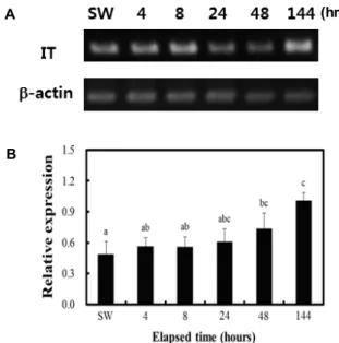 Fig.  7.  Analysis  of  isotocin  precursor  mRNA  level  in  Amphip- Amphip-rion  melanopus  after  exposure  to  15-ppt  salinity