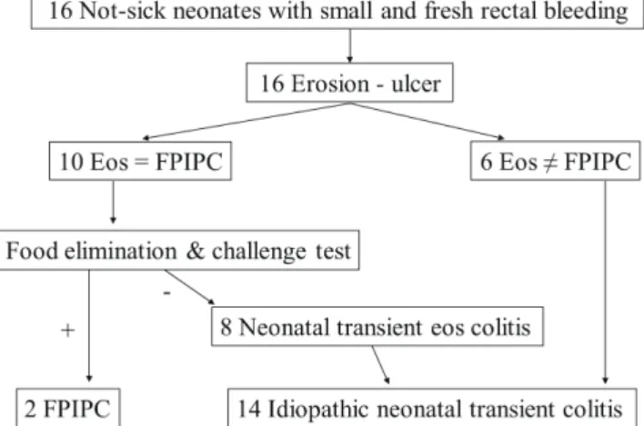 Fig. 1.  Results of tests for small and fresh rectal bleeding in neonates who  were not sick