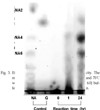 Fig.  3.  Effect  of  reaction  temperature  on  agarase  activity.  The  reactions  were  carried  out  at  20,  30,  40,  50,  60  and  70℃ 