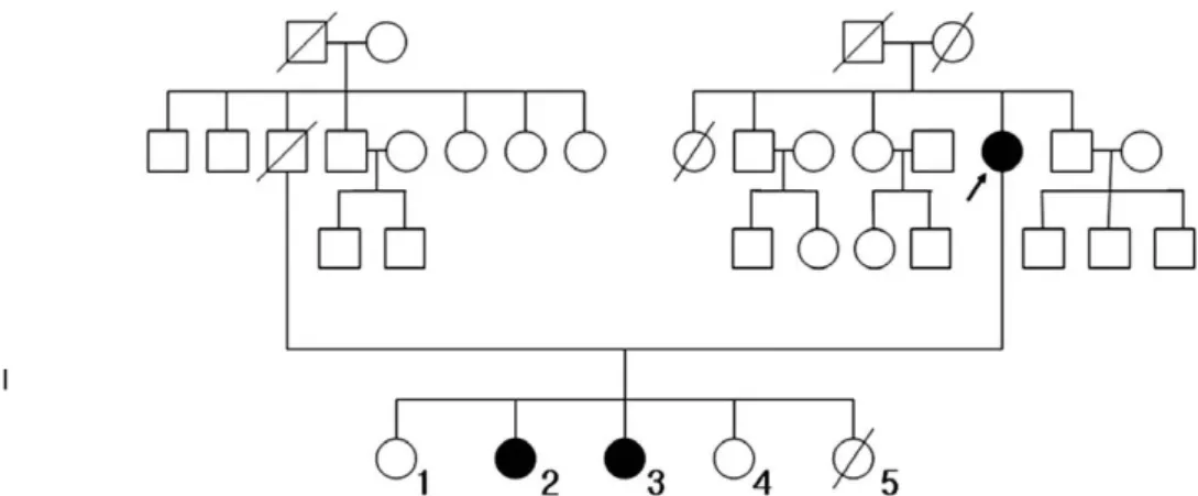 Figure 1. Pedigrees of family. The black symbols indicate affected individuals; diagonal lines across symbols, deceased individuals;