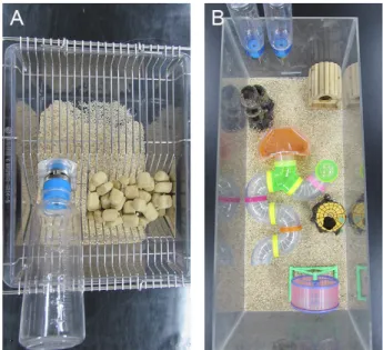 Fig.  1.  Environmental  condition  of  control  and  enriched  groups. 
