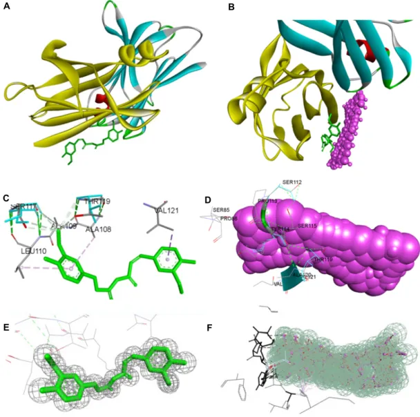 Fig.  2.  (A)  3D  molecular  binding  pattern  of  curcumin  compound  (green  color)  into  active  site  of  the  TTR  (domain  A,  yellow  color)  (B)  3D  molecular  binding  superimposed  pattern  of  NMC  (purple  color)  with  curcumin  (green  col